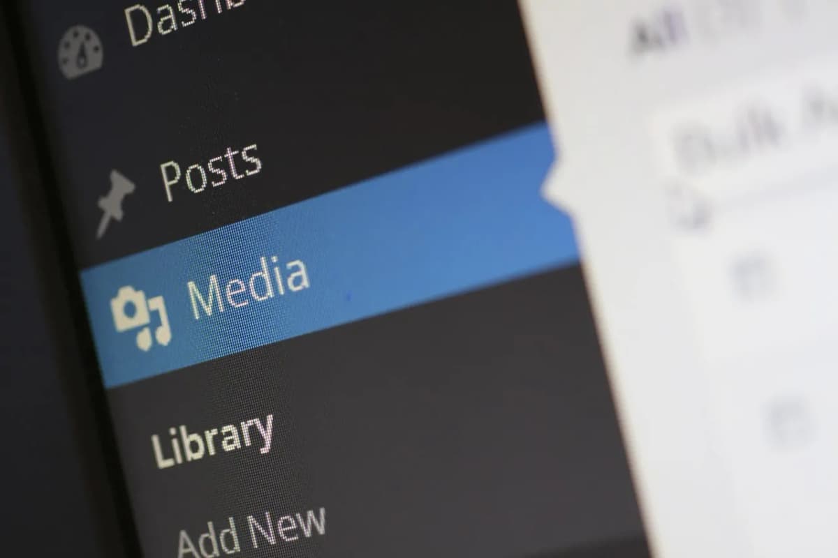 Why Choose WordPress for Your Next Website?